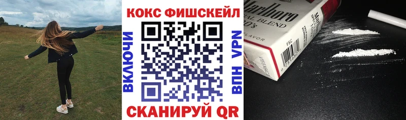 КОКАИН FishScale  дарнет шоп  Гвардейск 