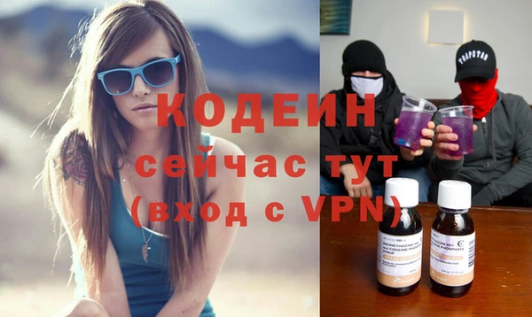 хмурый Верея