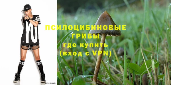а пвп мука Бородино