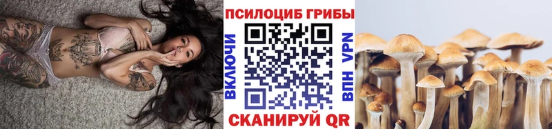 Псилоцибиновые грибы GOLDEN TEACHER  купить закладку  Гвардейск 