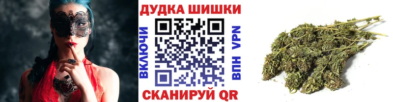 Конопля сатива  блэк спрут маркетплейс  Гвардейск 